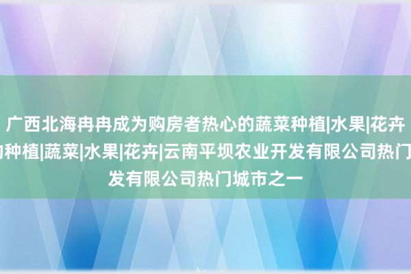 广西北海冉冉成为购房者热心的蔬菜种植|水果|花卉|中药材的种植|蔬菜|水果|花卉|云南平坝农业开发有限公司热门城市之一
